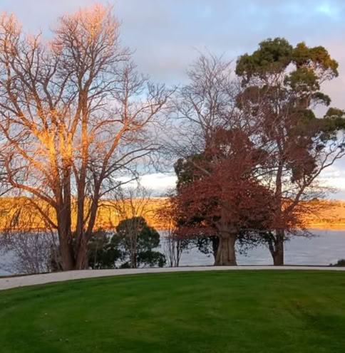 Trees with autumn foliage and bare branches near a body of water - Tamar River, with a grassy area in the foreground and a sunset sky in the background.