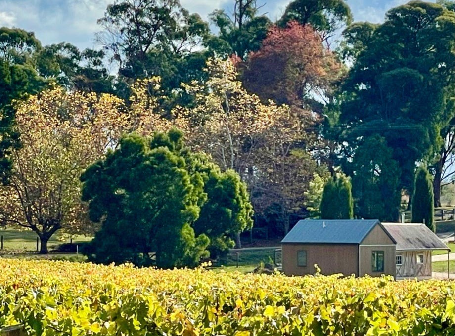 Our Nest@Waterton Hall from our Shiraz vineyard