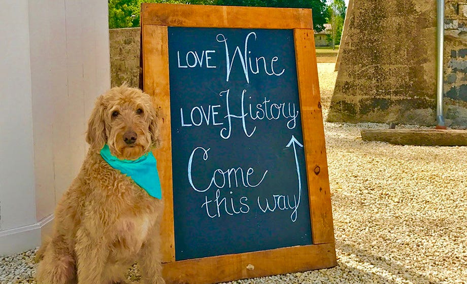Waterton Hall estate - Basil inviting all to our Pop-Up Cellar Door